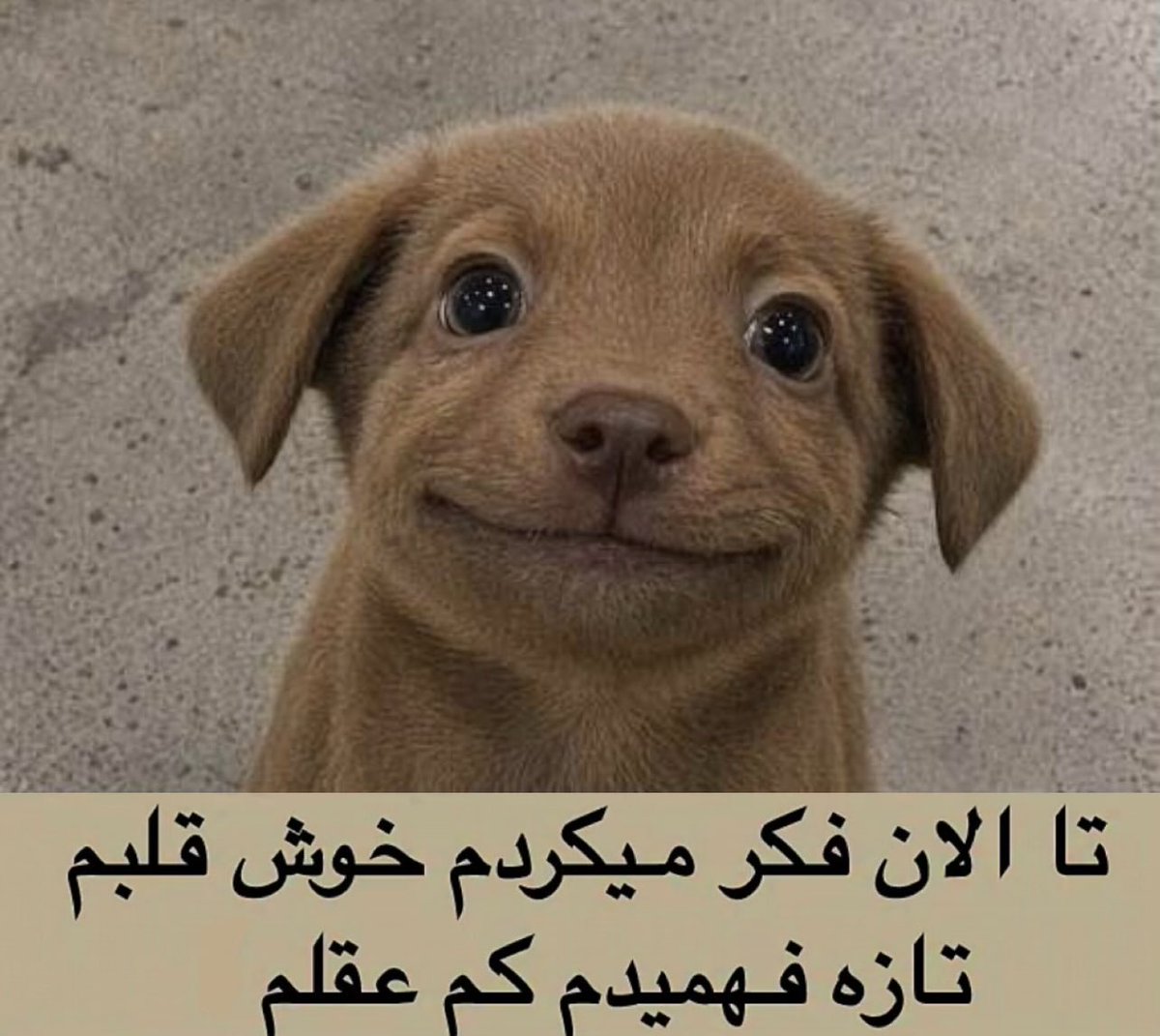 ContextPersian_'s tweet photo. https://t.co/HUKtf8Ahqi