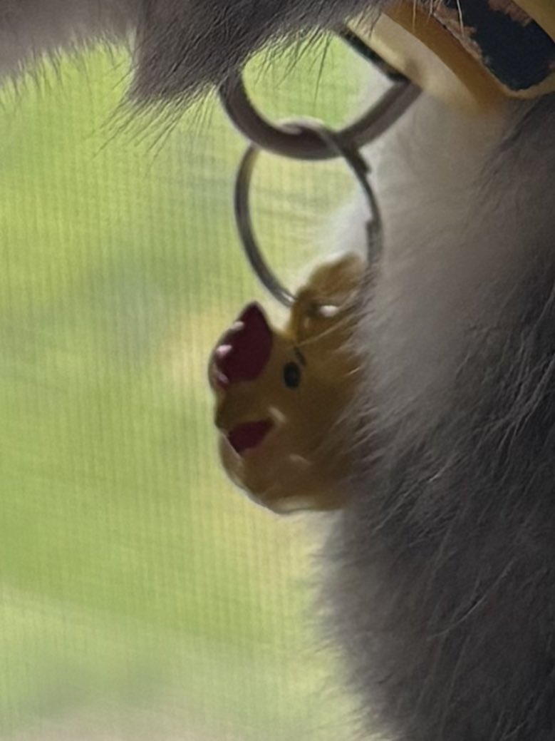 BlackHeartDime's tweet photo. @senshi_real My cat's chicken bell :')! https://t.co/pLntGc0FJb