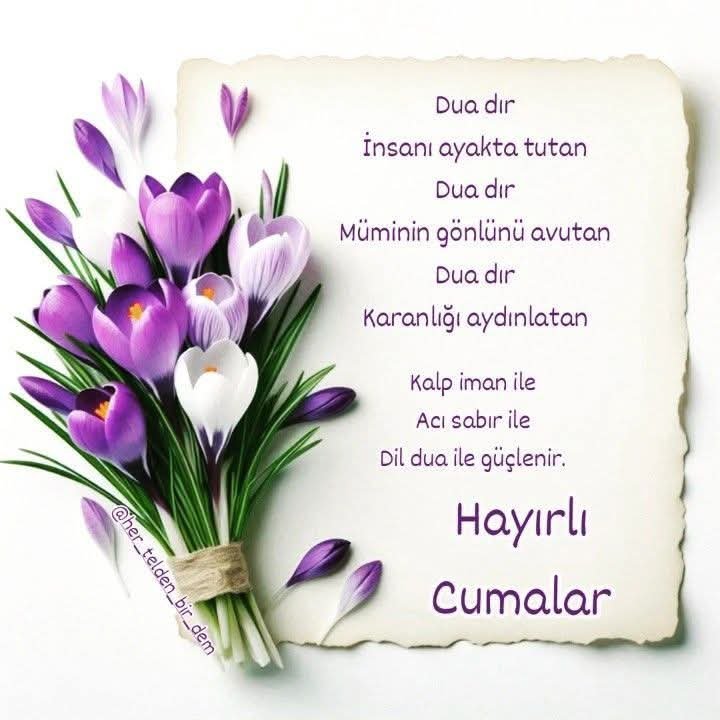 OktaySncr's tweet photo. https://t.co/NTCHlz9r59