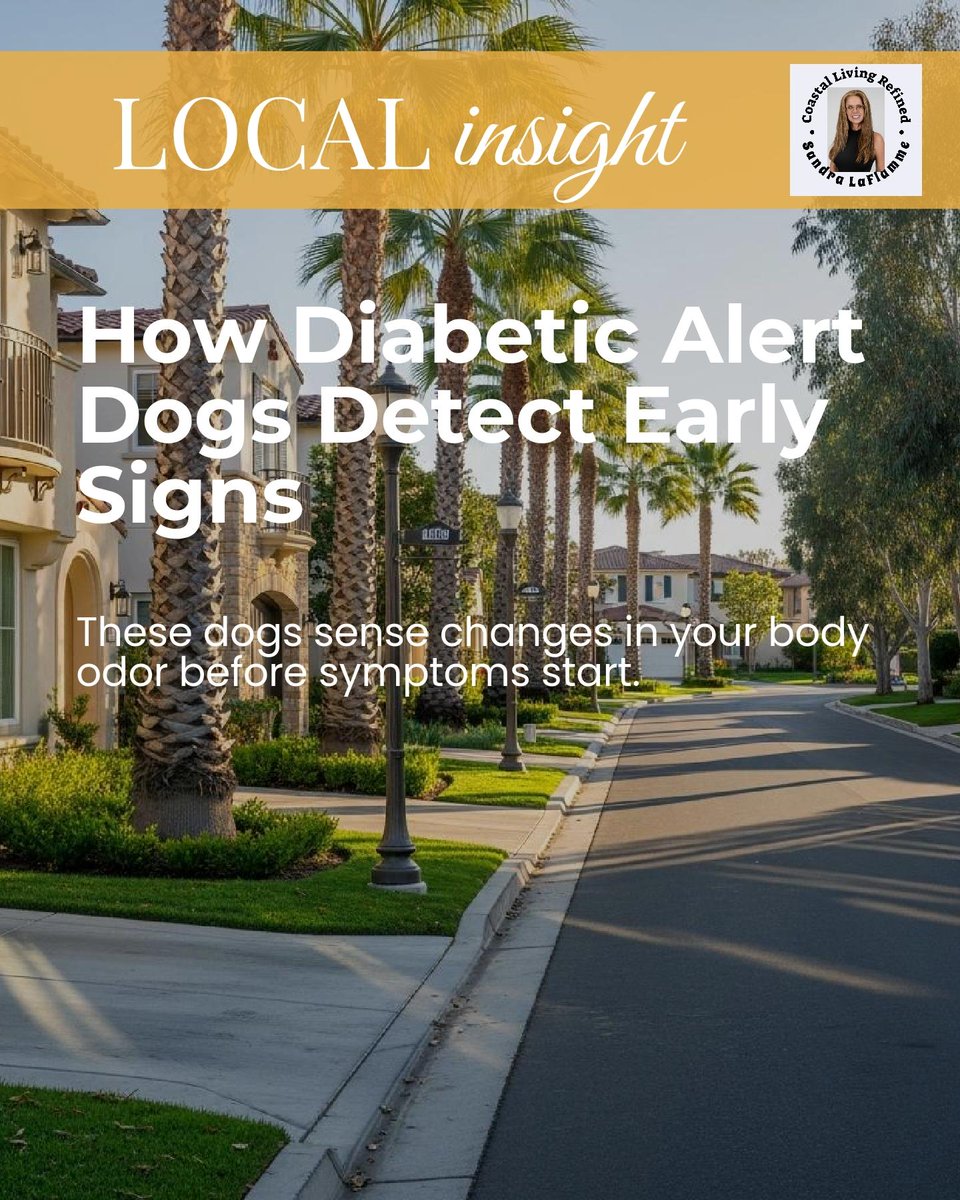 SandraELaFlamme's tweet photo. Diabetic alert dogs can sense shifts in your body odor before symptoms start, often detecting ketones or isoprene linked to blood sugar changes.

Which scent-based alerts have surprised you most? https://t.co/RVF8vT39W6