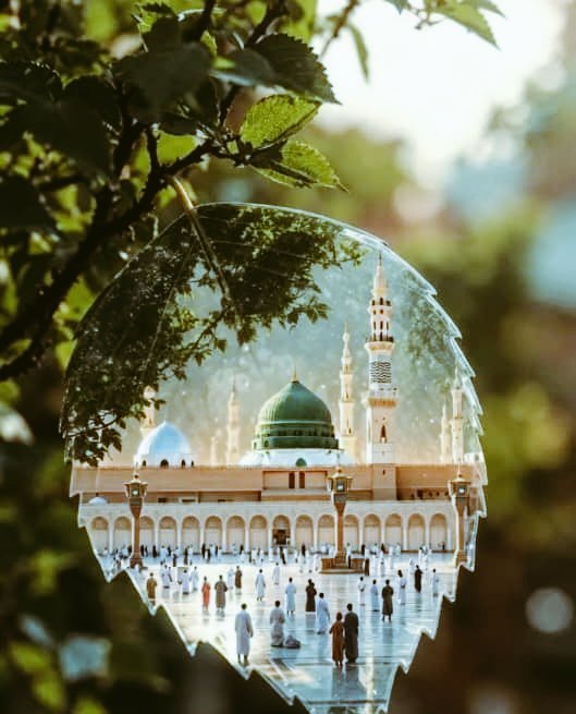 ammar7691's tweet photo. ياساكنين بقلبي لاعدمت لكم
معنى لطيفاً سرى معناه ضمن دمي
ويا رفارف روحي في معارجها
بذكركم كم يداوى في الهوى سقمي
الشمس طالعة من نور مشهدكم
والليل منسدل في طي برْدكم
إذا تجلى خيالٌ من مطالعكم
أَحيا وإلا فيا موتي ويا عدمي
عهدي بأحباب قلبي ما ذكرتكمُ
إِلا ولاح لعيني نور حيكم
#الرواس https://t.co/GkIhE25MoV