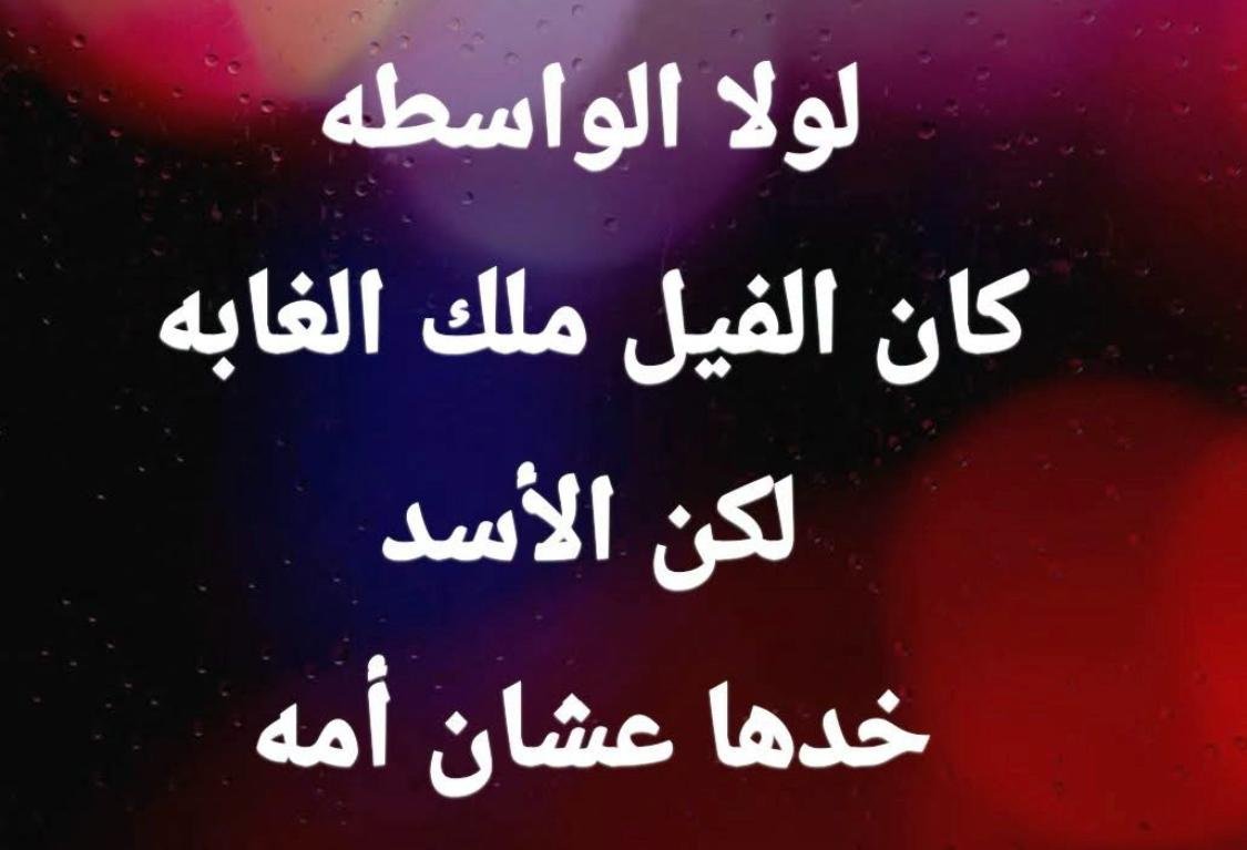 AshrafBadawyy's tweet photo. @ElkhateebRania https://t.co/cvrQ2w8DU4