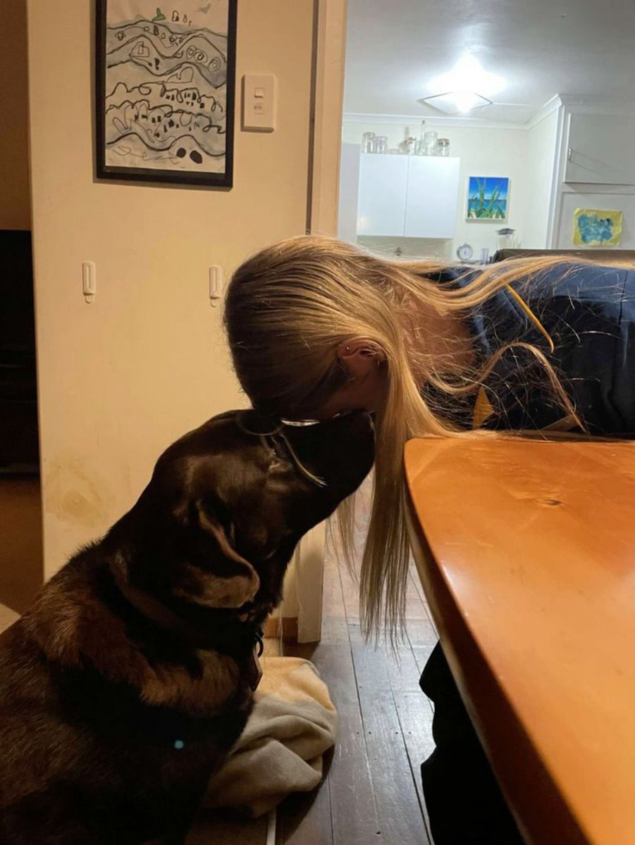 nova0pi's tweet photo. LINK TO MY K9 GROUP:https://t.co/PjlU0dUxVJ

#dogs #unitedstates�🇺🇲   #doglovers #germany�🇩🇪 https://t.co/7m5YNw00b2
