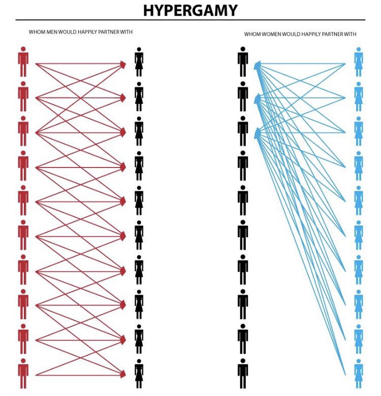 Hitchslap1's tweet photo. High income women are the most oppressed group on the dating market. They have a smaller pool to choose from as they only date across and up.

Hypergamy is undefeated. https://t.co/55gIIKusAY