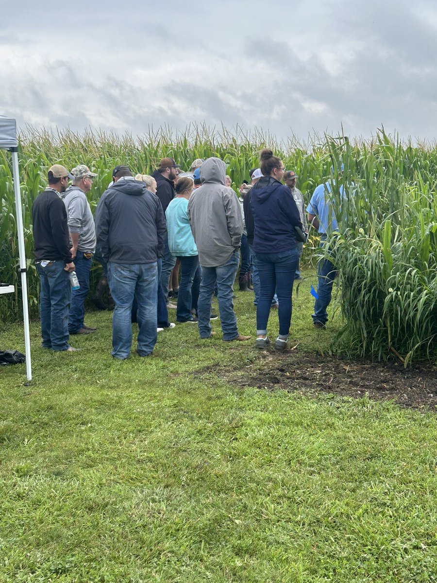 ISUFieldLab's tweet photo. Following last weekβs hail simulation, @ag_risk returned to FEEL yesterday to review crop damage. Despite damp conditions, it was a great day to evaluate how hail impacts corn and soybeans! #IowaAg #ISUExtension #NationalCropInsuranceServices https://t.co/j7sfDeSubk
