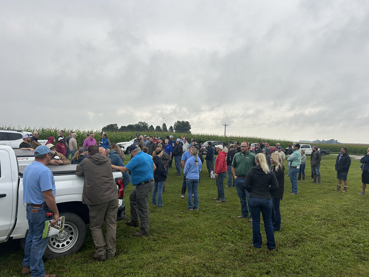 ISUFieldLab's tweet photo. Following last weekβs hail simulation, @ag_risk returned to FEEL yesterday to review crop damage. Despite damp conditions, it was a great day to evaluate how hail impacts corn and soybeans! #IowaAg #ISUExtension #NationalCropInsuranceServices https://t.co/j7sfDeSubk