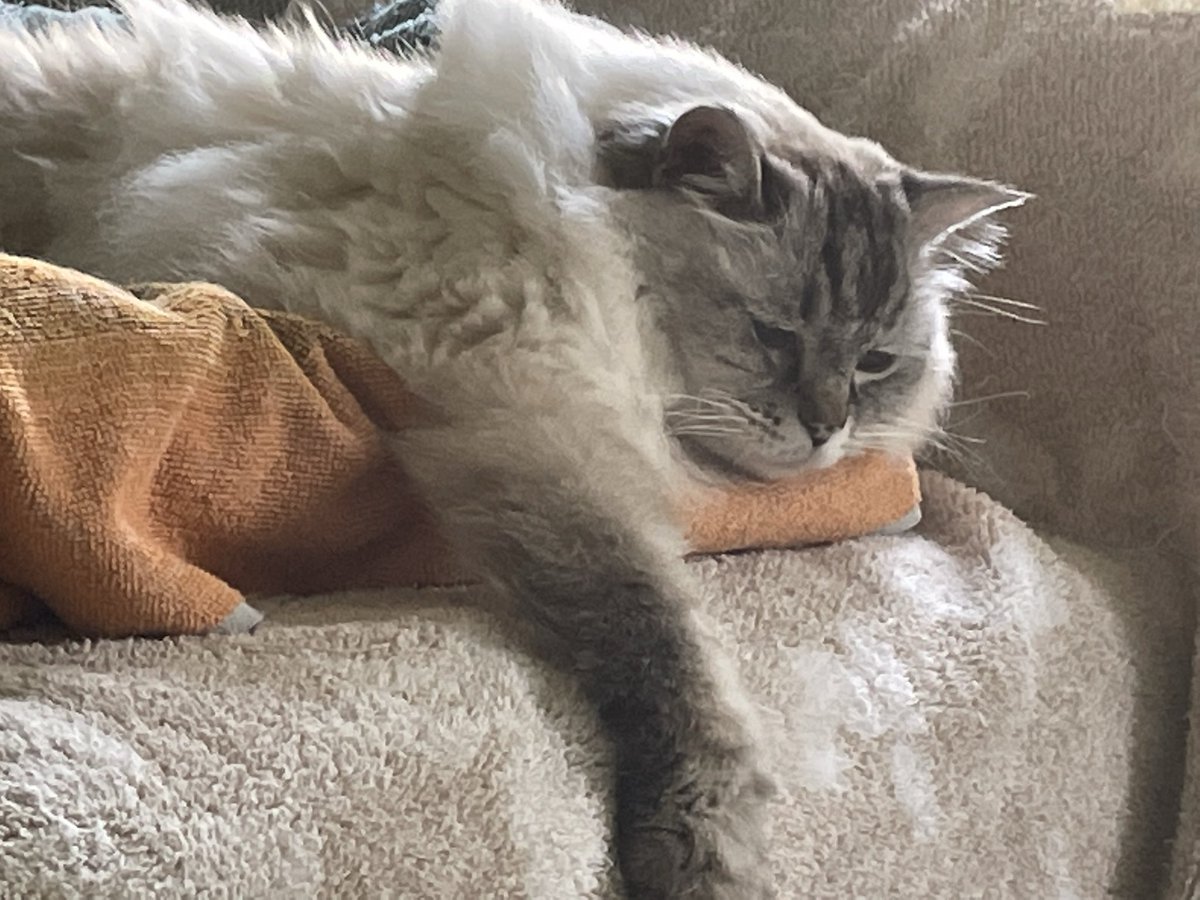 KB101team's tweet photo. @thehairycats Us too. https://t.co/CxMe3PtxJp