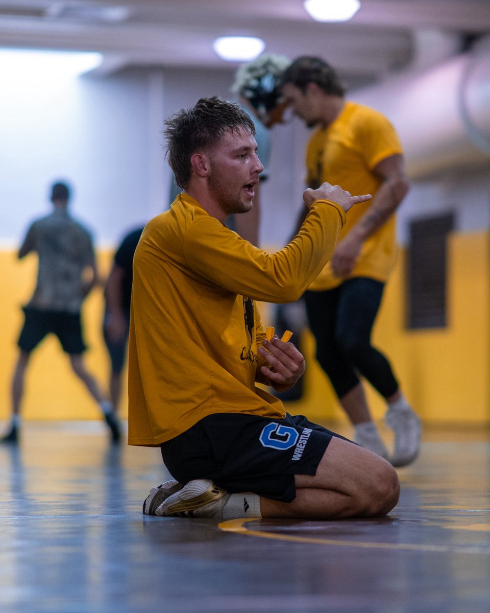 WyoWrestle's tweet photo. Recapping a returner 📝

The Brad Farrer edition 📓

- competed at 1️⃣6️⃣5️⃣ pounds 
- participated in 2️⃣ tournaments 
- compiled a 7️⃣-3️⃣ record 

He’ll look to build on his freshman campaign 🧱 https://t.co/itAGqXh5B4