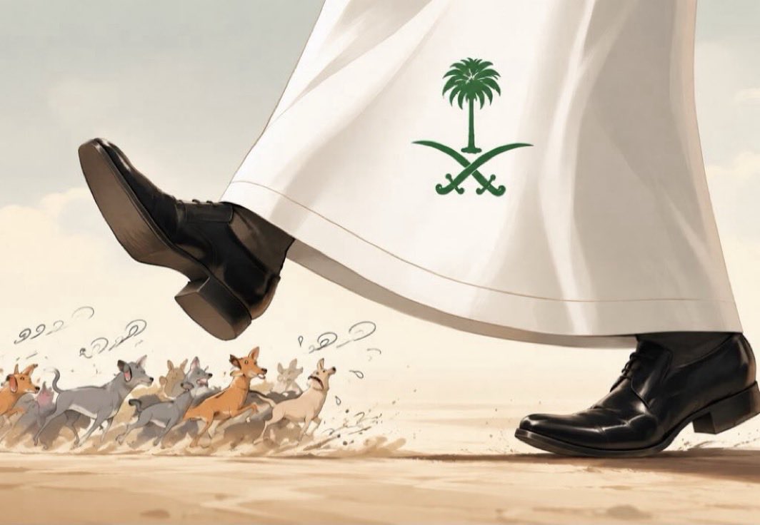 MBS_ksa22's tweet photo. @AJArabic حيلة المدعوس الاخبار البطوليه الكاذبه 🚨🚨 https://t.co/4hWsWGvYjH