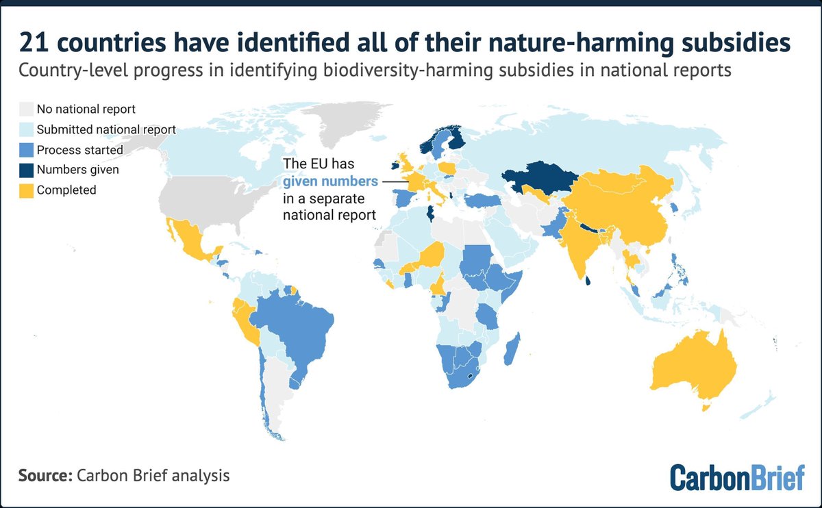 CarbonBrief's tweet photo. Analysis: 84% of nations miss deadline to identify ‘nature-harming’ subsidies by 2025 

✍️ Written by @GAViglione and @orladwyer_ 
💬  With comments from @EvaZabey1 @RonSteenblik Paul Elton and Prof Jessica Dempsey

Read here: https://t.co/QYahN4L0Bn https://t.co/8FI7Y3TWkC