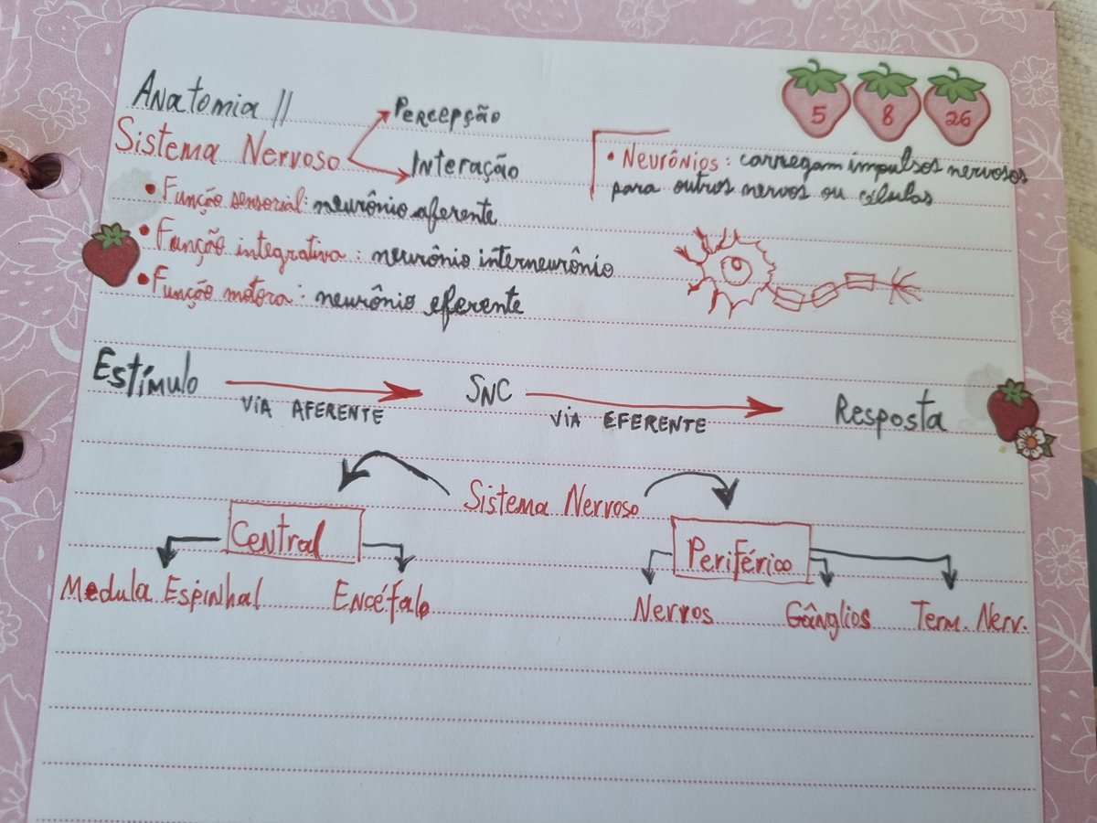 doggyjellow's tweet photo. resumo bonitinho q eu fiz dos slides do prof https://t.co/NFQJk3DLOO