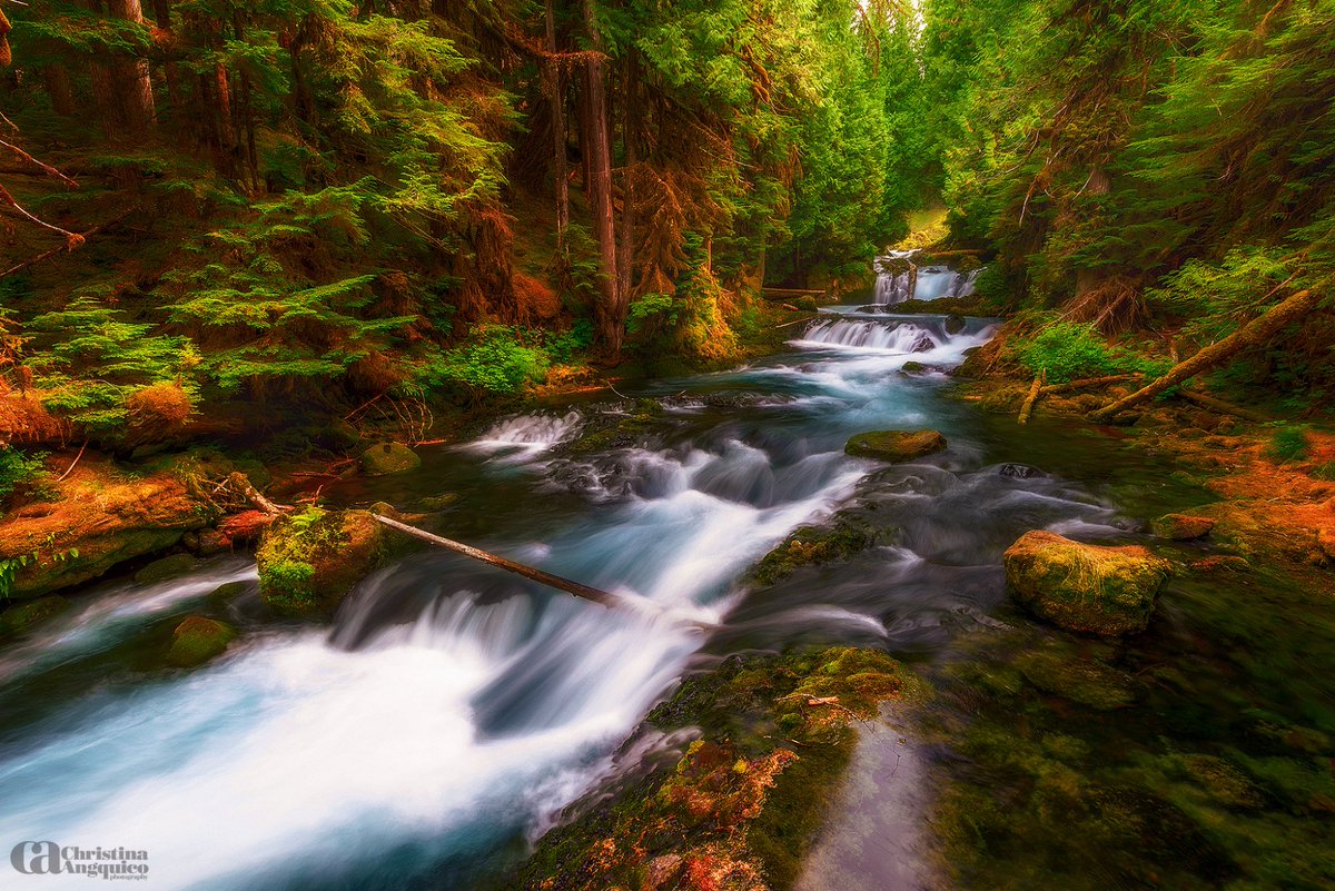 TSvetlanab's tweet photo. Good day Twitterland🐺💞
“I am glad I will not be young in a future without wilderness.”
― Aldo Leopold
#OurWorld
#Nature #NaturePhotography by Christina Angquico https://t.co/mRsJemysnj