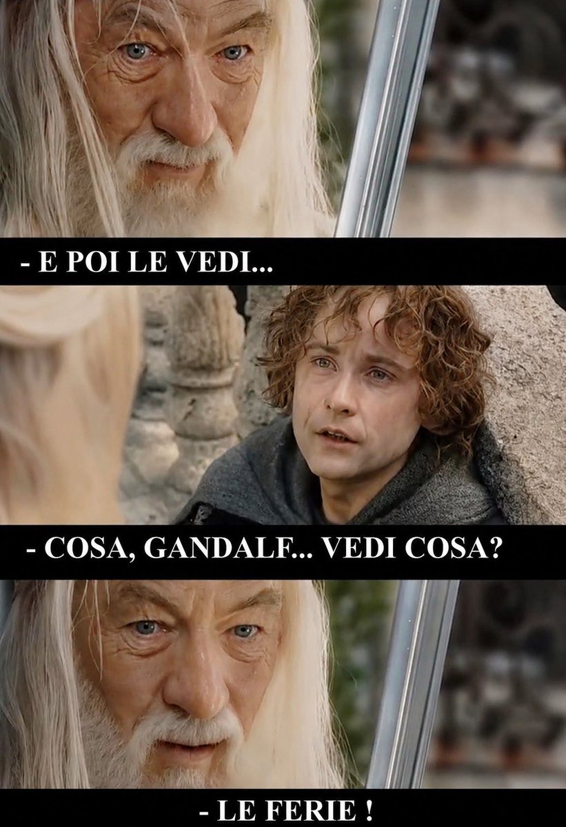 Prova7979 tweet picture