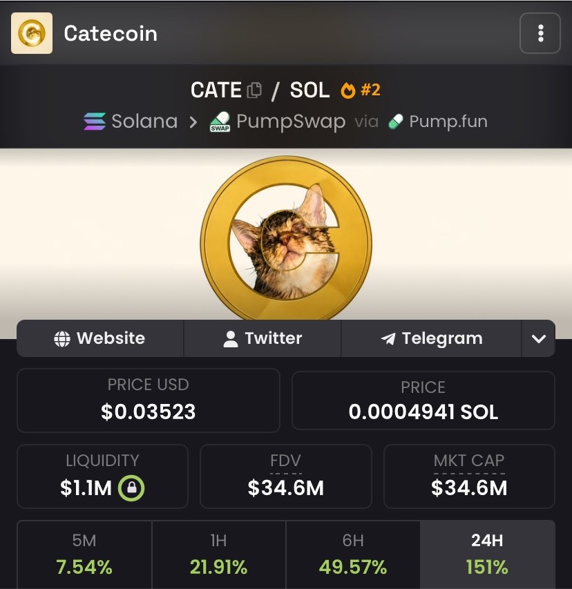 Glotoshi's tweet photo. Next stop $50M @CateonSol_ 💛🐈🔥 https://t.co/bTyRkboqg4