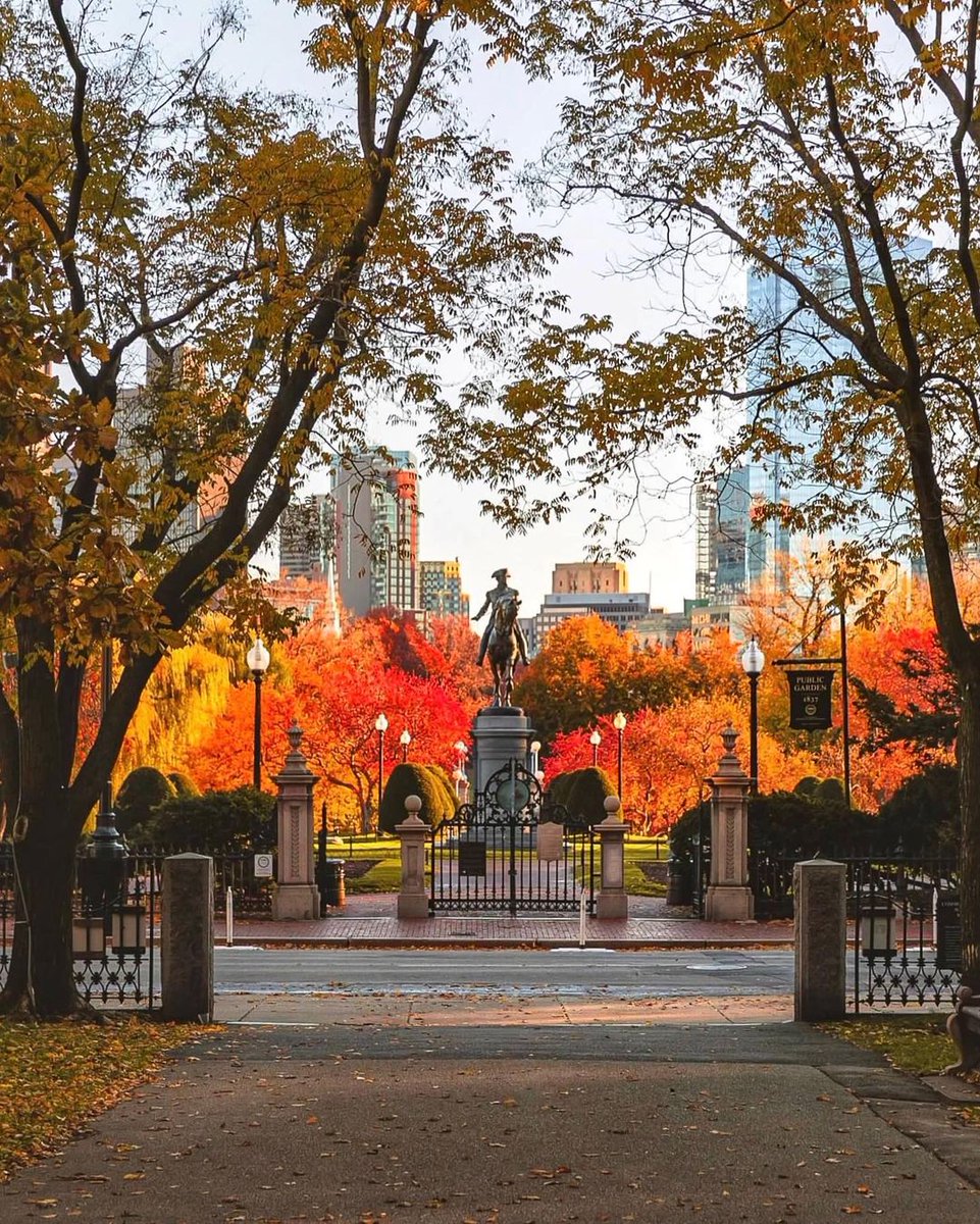RobtBeauprvb's tweet photo. Autumn breeze u0026 golden leaves—perfect afternoon for a warm coffee walk! ， https://t.co/CPhCJnQbz0