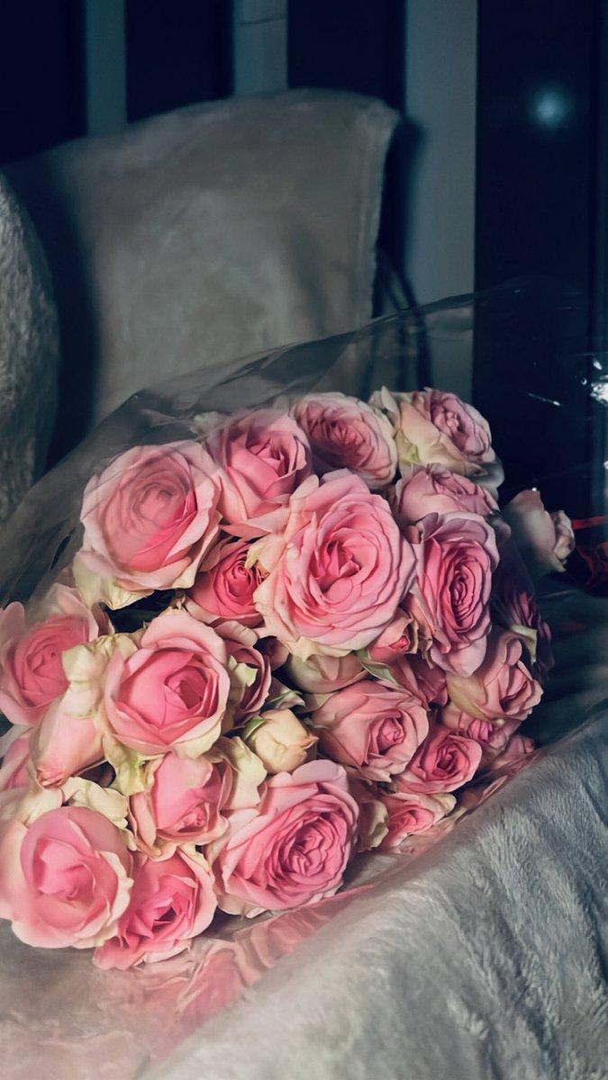 il5mli's tweet photo. ❤️ https://t.co/bYlIMxzrlA