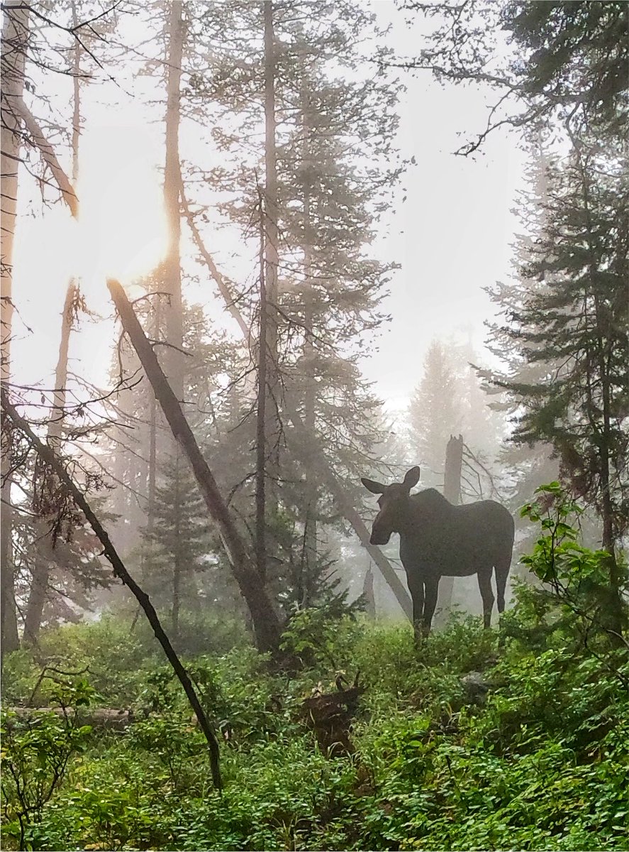 8ntmuch's tweet photo. What’s a photo you can’t believe you captured?
Let’s see them 𝕏! 👀 https://t.co/HEB9ffQcVQ