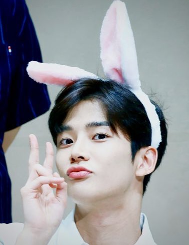 imns0807's tweet photo. #로밍의여름_로운아_생일축하해 
お誕生日おめでとうございます
#HBD_ROWOON_DAY
やりたいことすべてやってください
応援してる https://t.co/f3SmlZd9xl