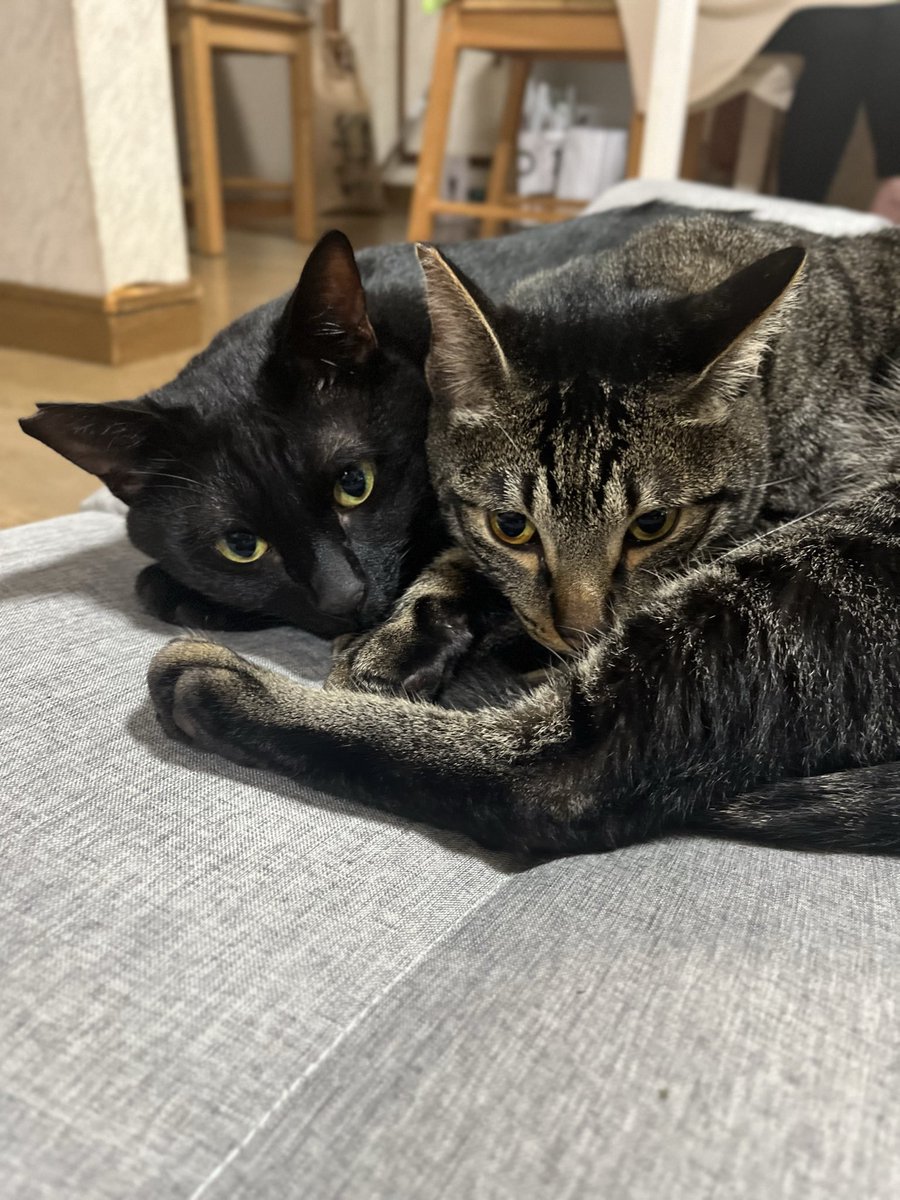 RPP0112's tweet photo. 今朝はオーキャンに行く娘を見送ってからホテルで仕事。夜はスタッフの送別会に10分だけ顔出して帰宅後、自治会のふれあいスポーツ祭の実行委員会に参加。今やっと飯食って学コンと宿題を封入。明日は朝から会議、午後はコンサルしてる別のホテルへ。夜は娘と微分積分。次の休みは18日。頑張れ自分！ https://t.co/HhGqo0oFKD
