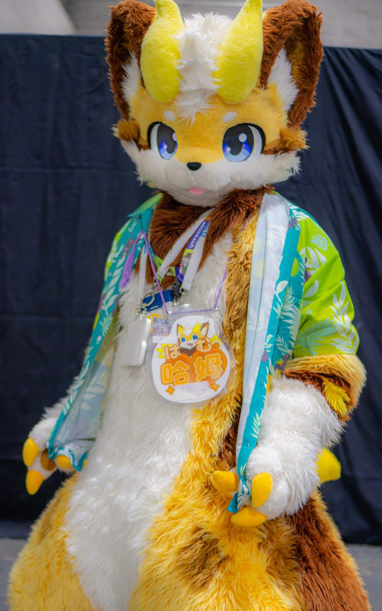 Inumory_Fur's tweet photo. #OFFF2026 哈姆ちゃん！
夏らしいおしゃれな羽織着てた～～かわいい💛🥰 https://t.co/X3Tg6gLsmo