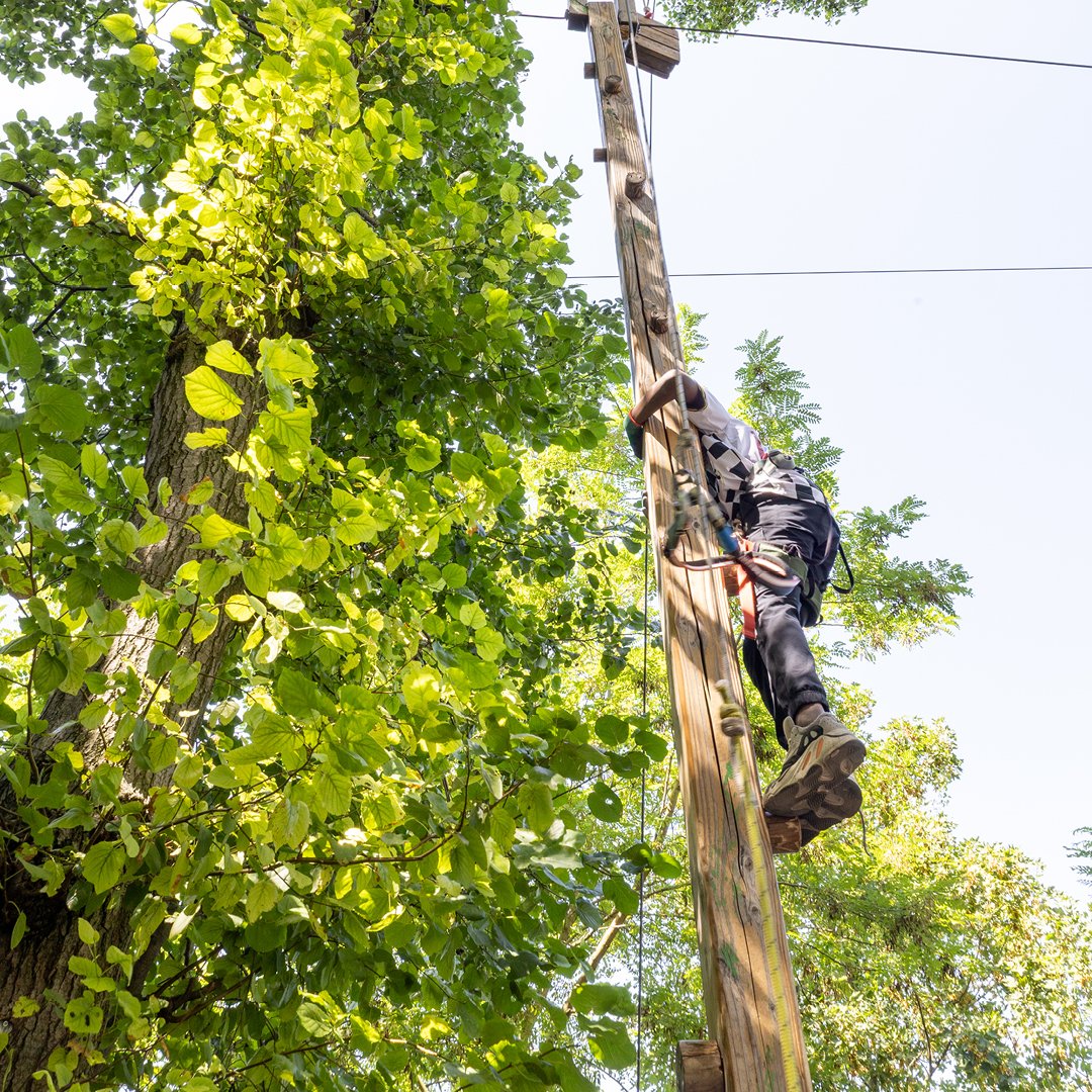 Alfortville_94's tweet photo. ☀️ #Summertime2026 : nos ados prennent de la hauteur ! 🧗‍♂️🌳✨

🌿🥳Les activités de l'été organisées par la Direction de la jeunesse et des sports continuent pour la Jeunesse d'Alfortville ! 

📸Retour en images sur leur sortie accrobranche à Ecopark Adventures ! Au programme : rigolades, entraide et dépassement de soi dans les arbres 💪🧗‍♀️ Nos jeunes ont assuré du début à la fin ! 👏🔥

#AlfortvilleVilledeBonheuretdePartage #Summertime2026 #Accrobranche