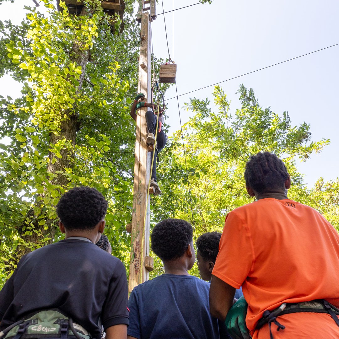 Alfortville_94's tweet photo. ☀️ #Summertime2026 : nos ados prennent de la hauteur ! 🧗‍♂️🌳✨

🌿🥳Les activités de l'été organisées par la Direction de la jeunesse et des sports continuent pour la Jeunesse d'Alfortville ! 

📸Retour en images sur leur sortie accrobranche à Ecopark Adventures ! Au programme : rigolades, entraide et dépassement de soi dans les arbres 💪🧗‍♀️ Nos jeunes ont assuré du début à la fin ! 👏🔥

#AlfortvilleVilledeBonheuretdePartage #Summertime2026 #Accrobranche