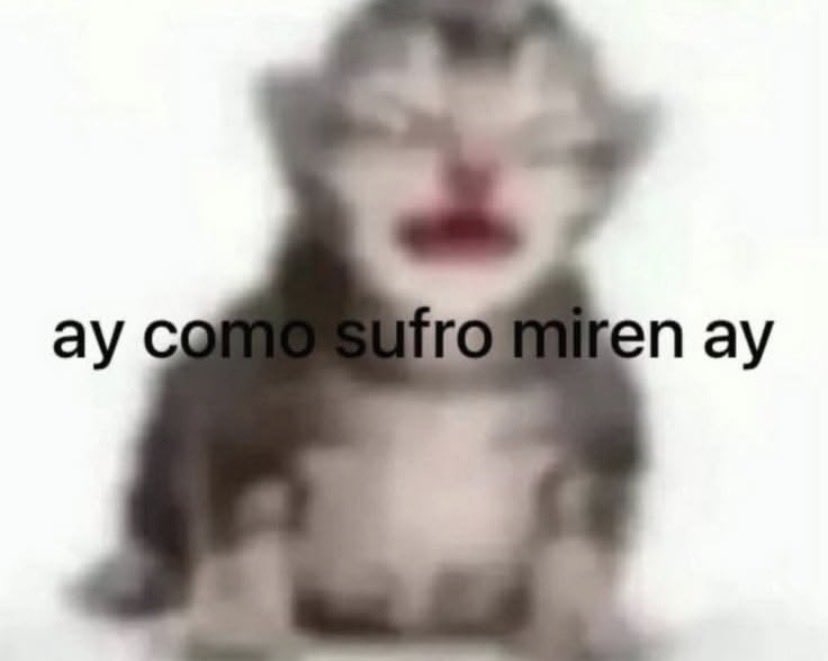 ACavadaaa's tweet photo. Esta soy yo contándoles a mis amigas por whasapp las putas mierdas que me pasan trabajando https://t.co/IGcQxeNVNe