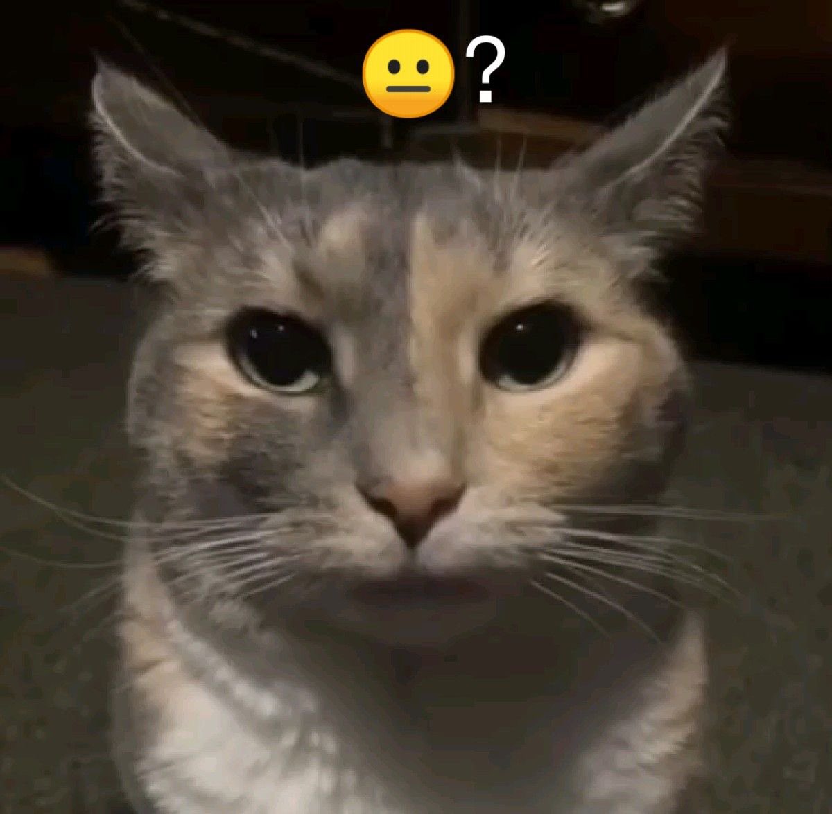 tu9ov1's tweet photo. 불량연애 남자들끼리 몸싸움 하는 거 볼 때마다 걍 이런 표정 됨… 왜저럼? https://t.co/Y4x9humwW5
