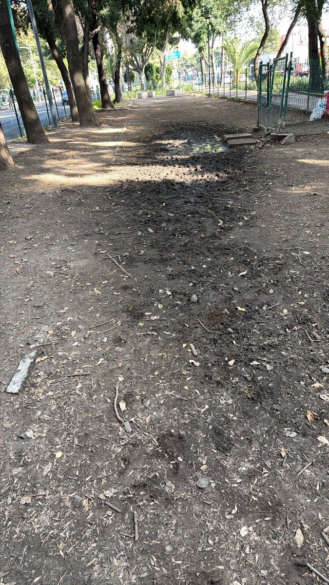 MaFerMont's tweet photo. @azcaporzalco deberían de poner un drenaje aquí en vez de estar Hechando agua con pipas 
Los perritos también tienen derecho a tener su espacio limpio 
@Claudiashein https://t.co/H4s6KvqeF3