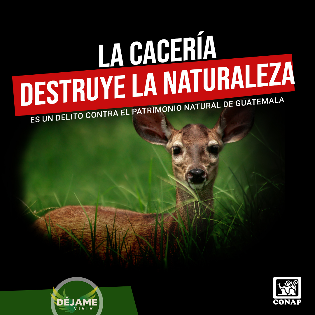 Defensores_FDN tweet picture
