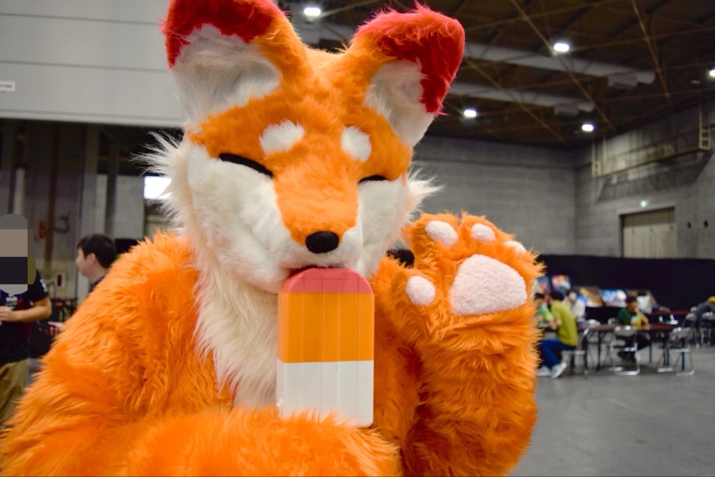 marshuallo2's tweet photo. プレストくんは会う度に癒される(◦ˉ ˘ ˉ◦)
※無事この後抱き潰されました😇
#OFFF https://t.co/katZoGGeYY