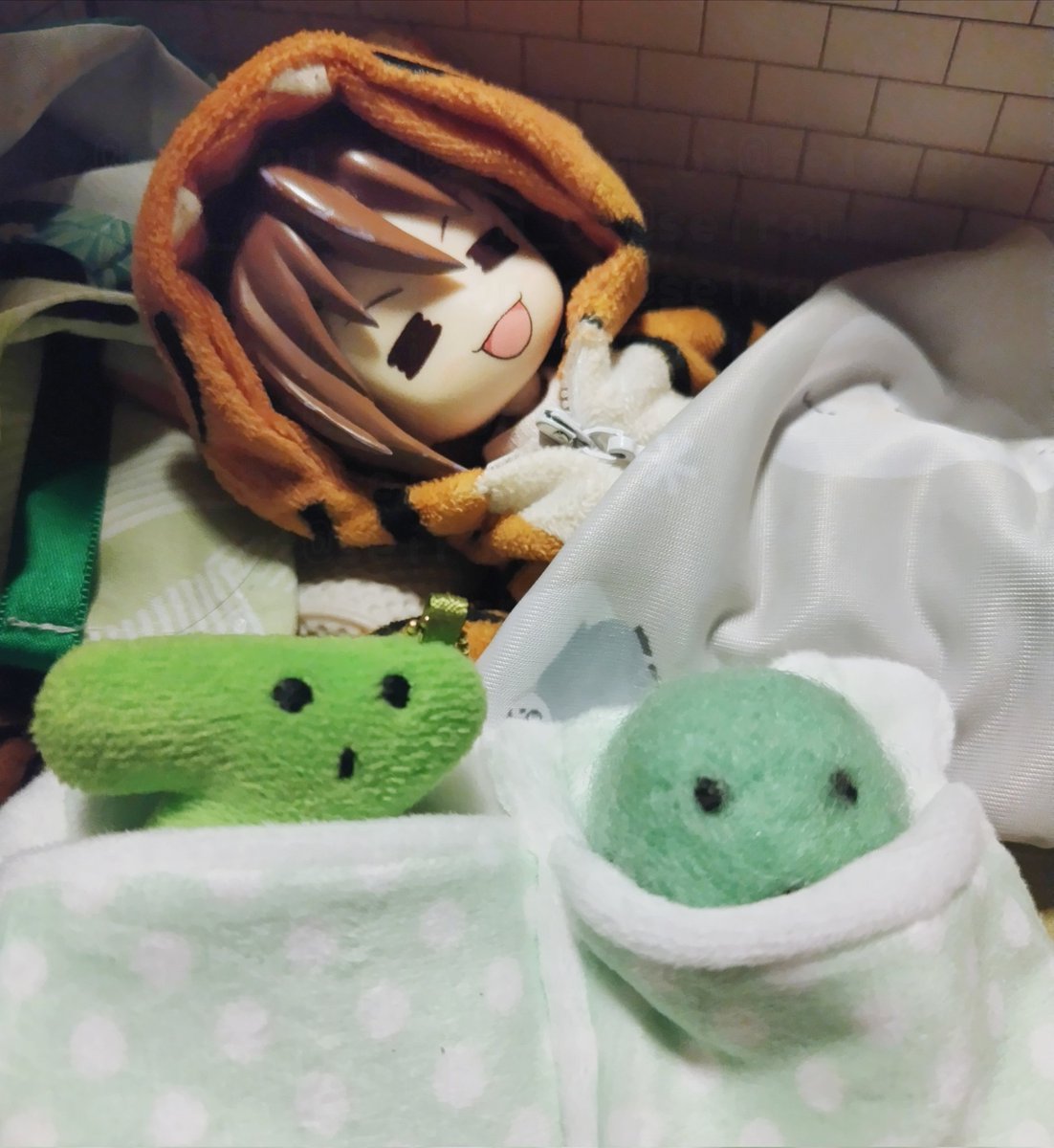 seiron_ot's tweet photo. おやすにゃ虎猫くん🟢
#まいにちとらねこくん https://t.co/lbvwwFDbzX