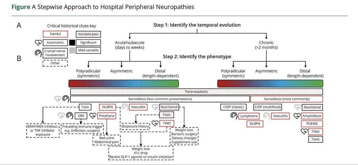 medicosergio's tweet photo. 🟡Abordaje de las #NEUROPATIAS
👉 Dr. Marcus Pinto, @MarcusVPinto https://t.co/jLfDVyTjJz