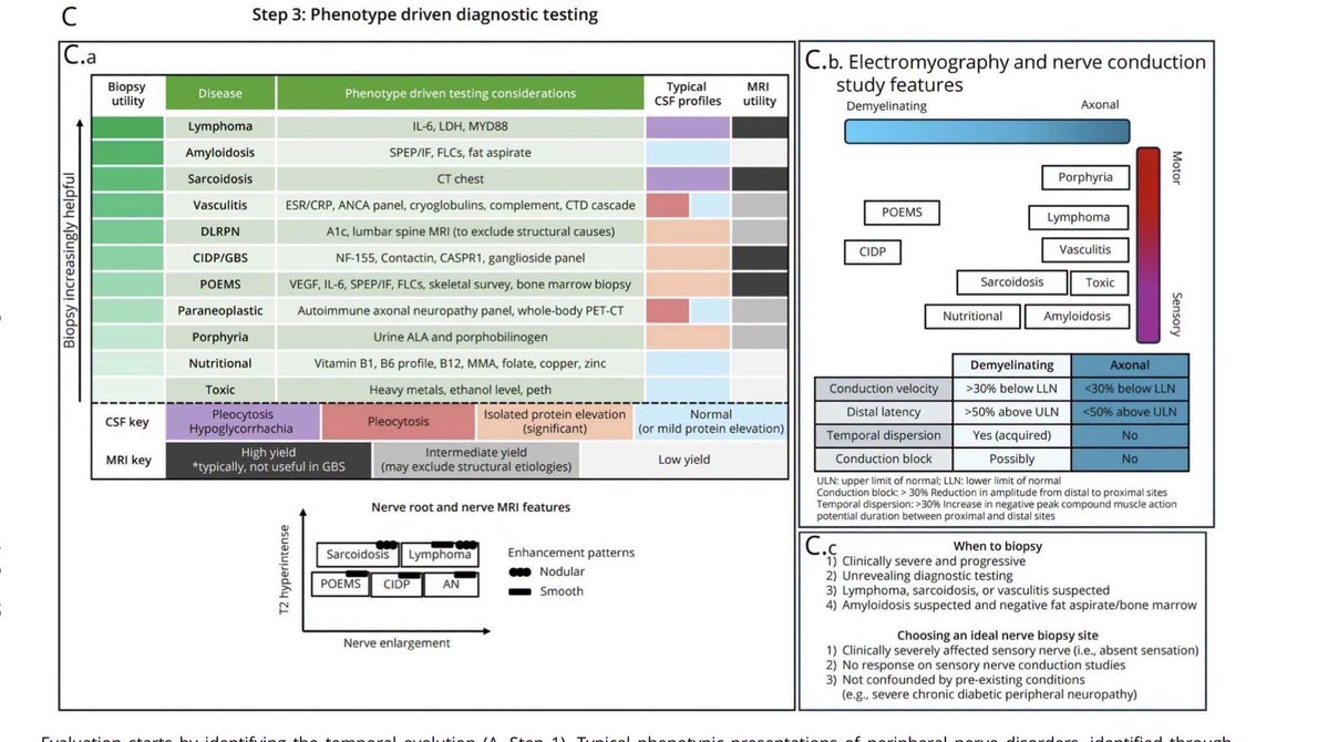 medicosergio's tweet photo. 🟡Abordaje de las #NEUROPATIAS
👉 Dr. Marcus Pinto, @MarcusVPinto https://t.co/jLfDVyTjJz