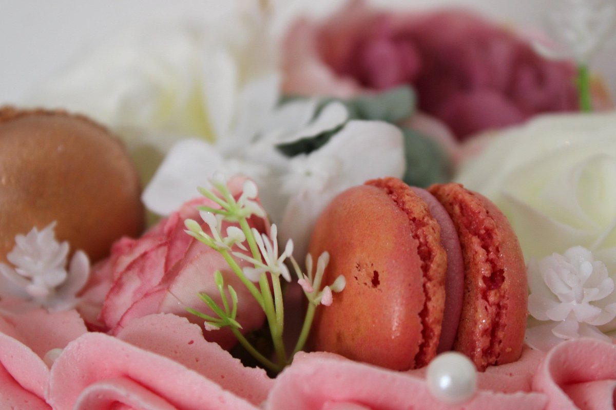 tarnyashomemade's tweet photo. Find us on https://t.co/oPFXVrqyQg for delicious freshly baked delights and fantastic sweetie mixes 🤤😍 use discount code NEWSITE10 for a cheeky 10% discount 👀🤫

We are also on Etsy and Tiktok Shop under Scoops by Tarnya! 🙏

#smallbusiness #homebaker #cake #food #love https://t.co/OunlucWBVQ