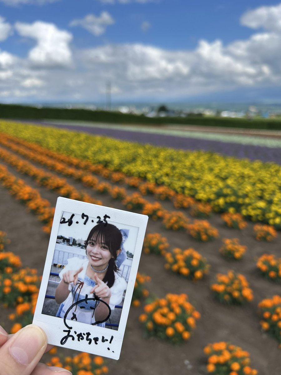 shikibu_03's tweet photo. #葉菜の日 https://t.co/Zq5zv2dWVx
