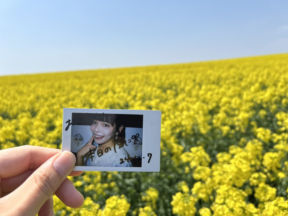 shikibu_03's tweet photo. #葉菜の日 https://t.co/Zq5zv2dWVx