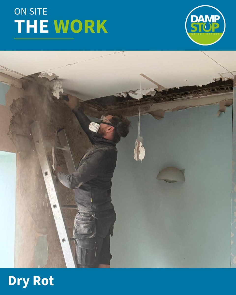 DampStop's tweet photo. Today's dry rot job uncovered a much bigger issue than first thought. The fungal growth has spread up the wall into the bedroom and may even have reached the roof. Hidden decay is why thorough investigations matter. #DryRot #TimberDecay #NorthEast #PropertyCare https://t.co/oSsuecrbMK