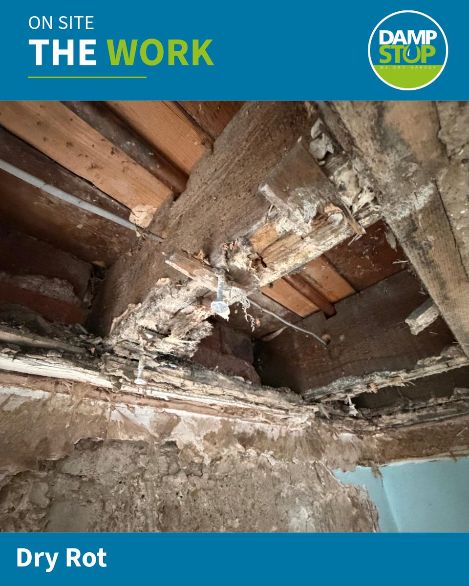 DampStop's tweet photo. Today's dry rot job uncovered a much bigger issue than first thought. The fungal growth has spread up the wall into the bedroom and may even have reached the roof. Hidden decay is why thorough investigations matter. #DryRot #TimberDecay #NorthEast #PropertyCare https://t.co/oSsuecrbMK