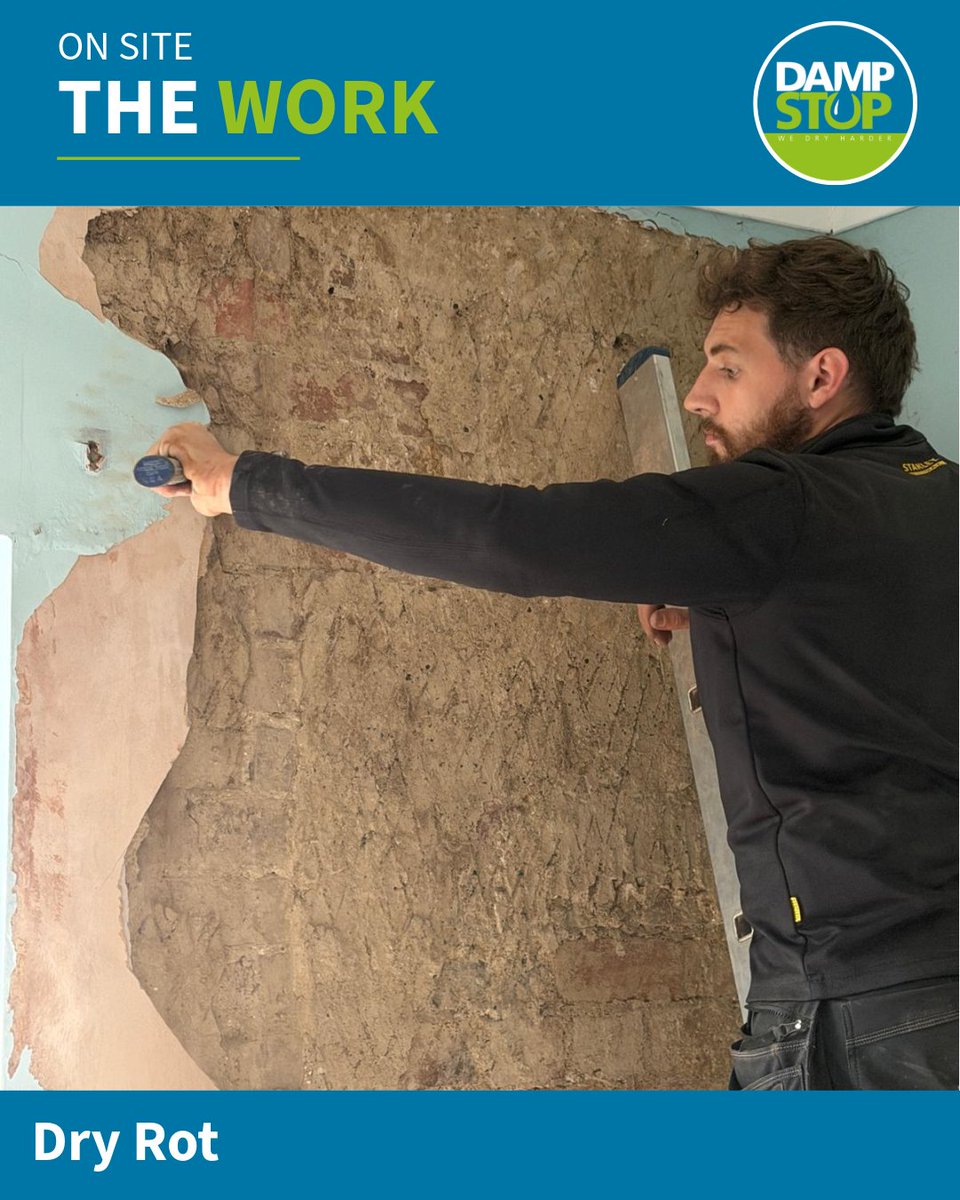 DampStop's tweet photo. Today's dry rot job uncovered a much bigger issue than first thought. The fungal growth has spread up the wall into the bedroom and may even have reached the roof. Hidden decay is why thorough investigations matter. #DryRot #TimberDecay #NorthEast #PropertyCare https://t.co/oSsuecrbMK