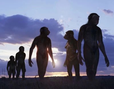 Visceral9000's tweet photo. Hominid core images https://t.co/W4tD8Fj4fM