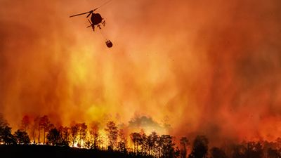 LocalNow's tweet photo. Wildfires destroy neighborhoods as crews battle flames across Spokane County -  https://t.co/mzcaLT1TPw https://t.co/y3mcKJKiCo