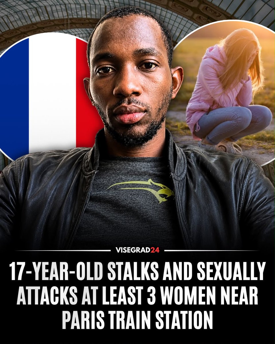 visegrad24's tweet photo. A 17-year-old African student has been charged and placed in pretrial detention after attacking three women near the Villiers-sur-Marne train station, east of Paris, between June 17 and July 23.

The first victim, 26, was attacked while walking home after traveling from Paris. Police later recovered DNA from her clothing.

A month later, a 29-year-old woman was attacked in the same area. She had activated her phone’s audio recorder after becoming suspicious, and a nearby resident’s intervention caused the assailant to flee.

Police then deployed officers around the station. They followed the suspect as he approached women and arrested him after he attacked a third woman, 31, with a knife.

Investigators say the teenager admitted the three attacks during questioning and mentioned another possible victim from early June.