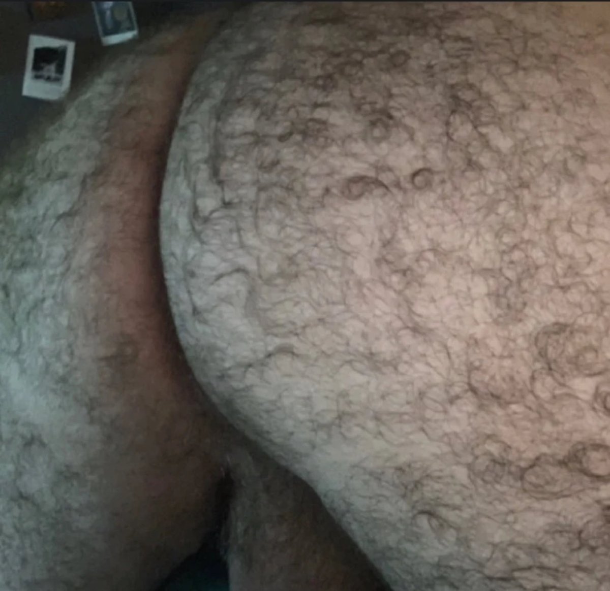 RaunchPigs's tweet photo. 🍑🍑🍑🍑 https://t.co/7NH2bko8cl