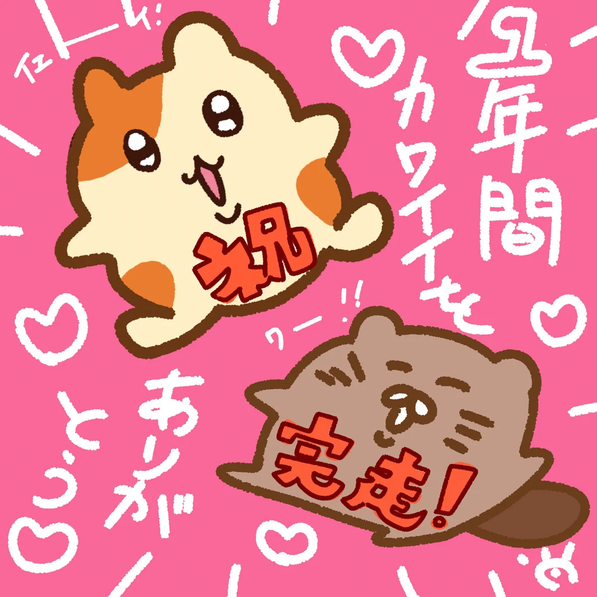 まいにちハムちゃん🐹伊藤萌果 on X: 
