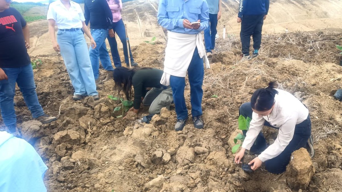 fcvespol's tweet photo. 🌾🍌 ¡Educación práctica en campo! Estudiantes de la FCV-ESPOL, acompañados por el docente José Rivas Ph.D. , realizaron una visita técnica a una finca de banano orgánico en la Península de Santa Elena. 🚜💧

🔗 Lee la nota completa: https://t.co/NGFgPhKEWt https://t.co/XJWi14CG8O