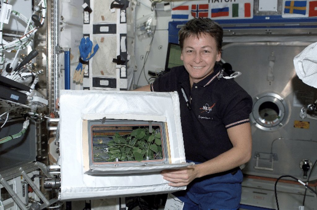 AstroPeggy's tweet photo. One experiment during my first flight, Expedition 5, involved growing soybeans that required a special air filtration system on the Space Station. The same system I used to cultivate soybeans in space is now used in surgical rooms to control airborne pathogens and in wineries to control mold. You don't really know how technology will be repurposed, and to me, that's one of the coolest things about working in space. Every experiment performed in space has the potential to improve life on Earth in ways we can't always predict.