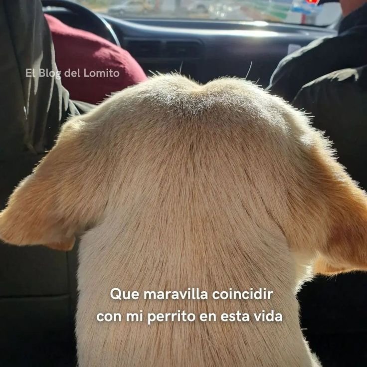 rey_latino33087's tweet photo. https://t.co/XEZxebjIuk