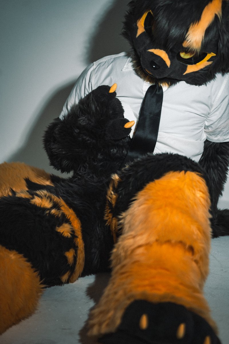 Rune_fur's tweet photo. 살짝 더운데...?

#FursuitFriday https://t.co/ffl2zLdMwA