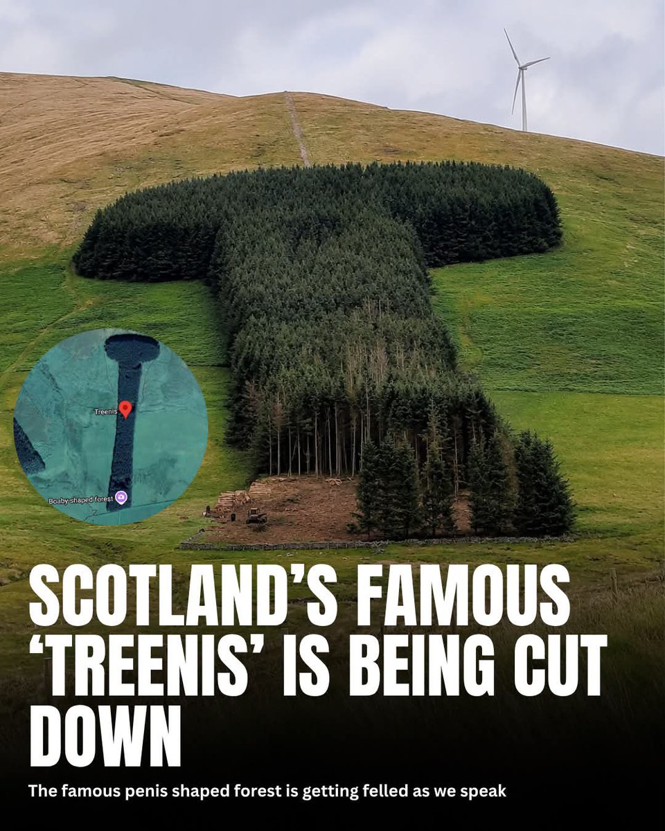 1scottishbanter's tweet photo. Sad day for motorists everywhere 🫡

If you've ever driven the M74, you'll know the Treenis.

Also known as Boaby Woods, the Penis Woodland and the Cock of the North, it's been one of Scotland's most famous roadside landmarks for years 🏴󠁧󠁢󠁳󠁣󠁴󠁿

It went viral last year when a "Save the Penis Woodland" petition attracted thousands of signatures. Now, forestry work is underway and part of the woodland has already been harvested.

While many believe it'll eventually be replanted, nobody knows for certain what it'll look like when it's back.